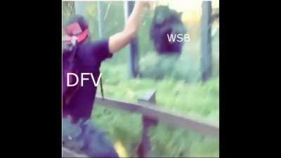 When DFV posts literally anything