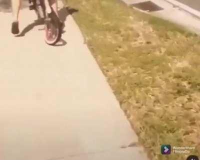 Goose the everstrong, the invincible, the breaker of bikes
