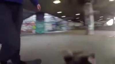 Expert cameraman 🐕