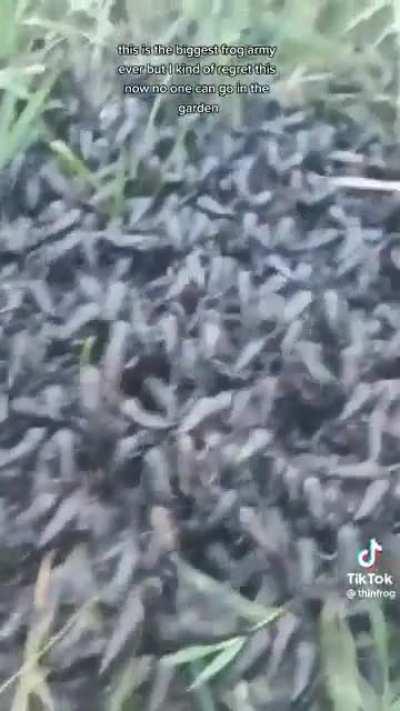 Abrupt chaos frog army…