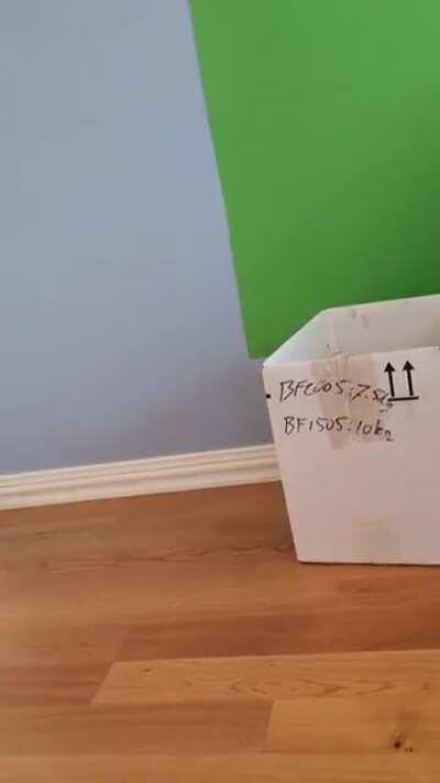 I upgraded the Fumo generator to also produce big and beautiful Remilias