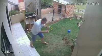 Como matar baratas no quintal? Chinelos? Não. Veneno? Claro que não. O que então? Biribinha atômica!