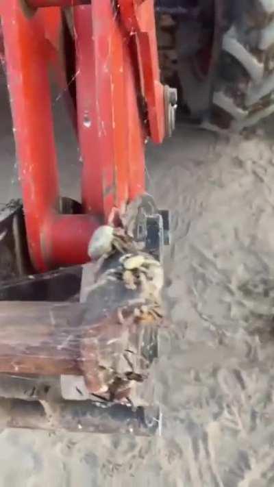 Time to get a new tractor fellas, we burning this one