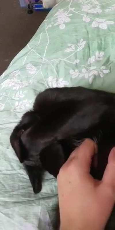 Tux's activation sound comes with movement