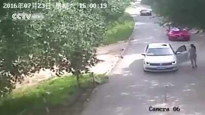A woman decides to get out of the car to argue with her husband while in a tiger park