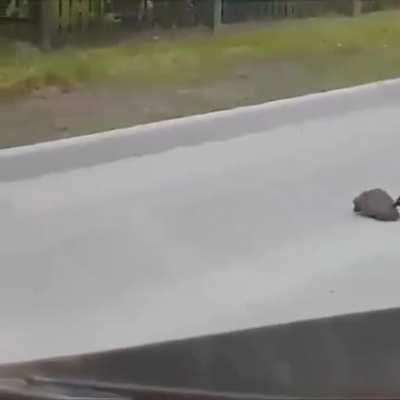 Drone in Rescuing mode