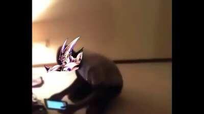 This new raid boss in a nutshell