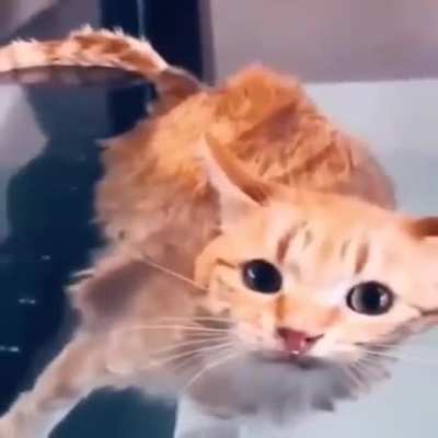 hwat the Devils?!????