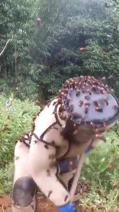 I really hope he or she was wearing protective gear as well.