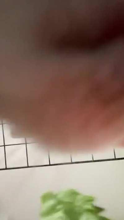 he monch and he cronch 🐰✨