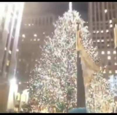 Decided to let my intrusive thoughts win 💅