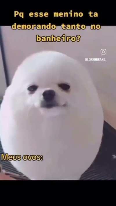 eu🥚nvr