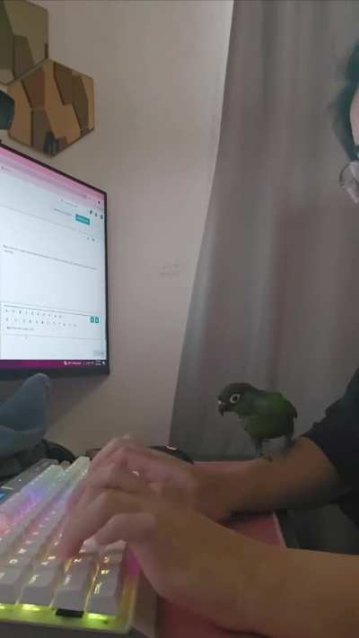 15 minutes of trying to work on an assignment. 