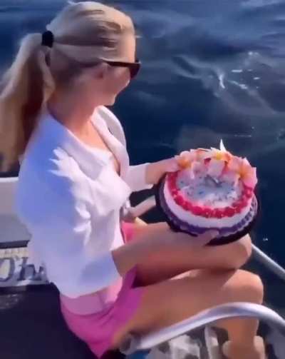 Shark tries to sneak in photo