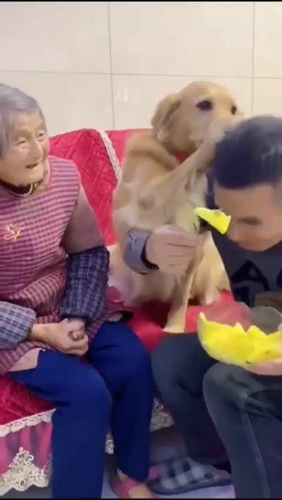 Nobody can mess with grandma, not on my watch!