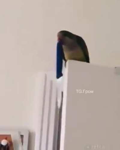 Air to ground attack aircraft