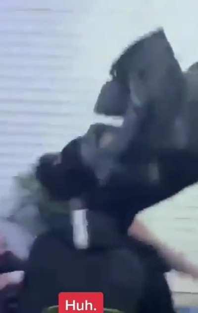 Отличная катапульта