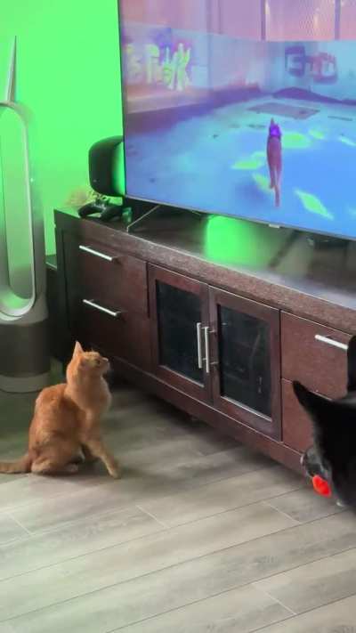 I was told that Chelsea belongs here…