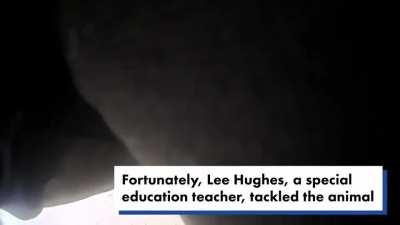 A dog managed to get into an elementary school. It mauled 12 children before being tackled by a brave special education teacher.