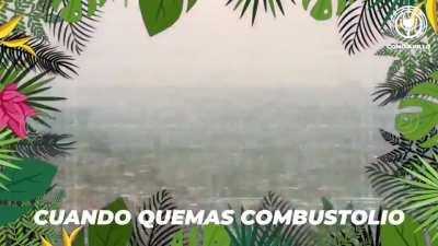 Nuevo sencillo del kks