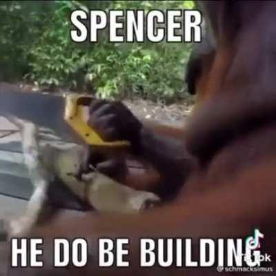 I’ll admit, there’s some gems on tik tok