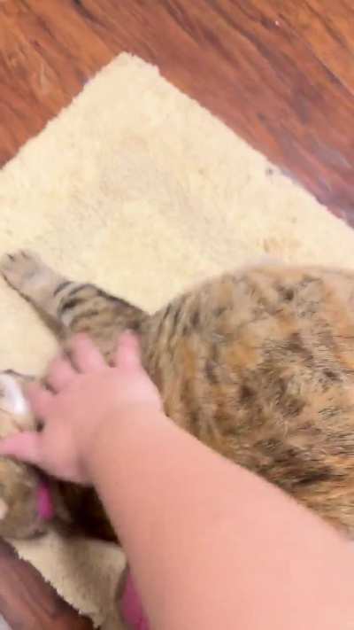 She wanted bongos while my hair getting done