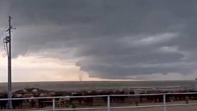 Interview I Did with the Local Fox Station