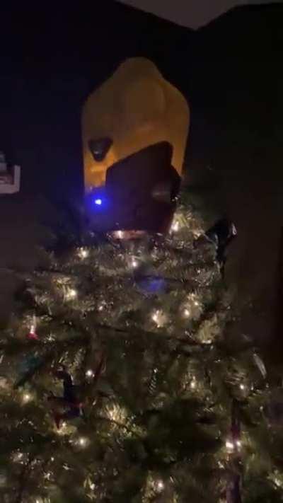 The Star on our tree broke on Christmas Eve, I found a replacement