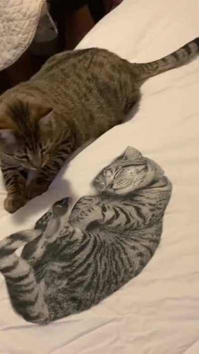 Pluto vs. the new duvet