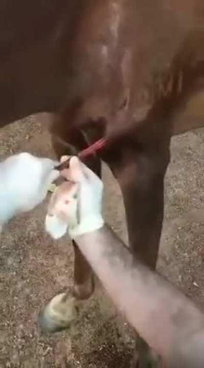 Removing a small splinter...