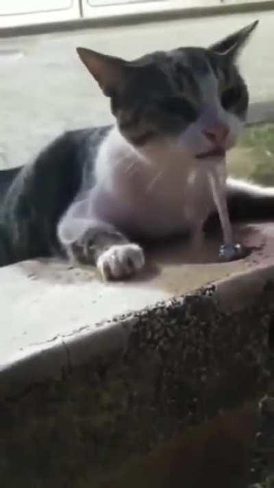 Can you help me to drink some water?