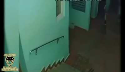 [SFW] A 9 year old girl in Russia casually avoids a creep trying to follow her (2020).