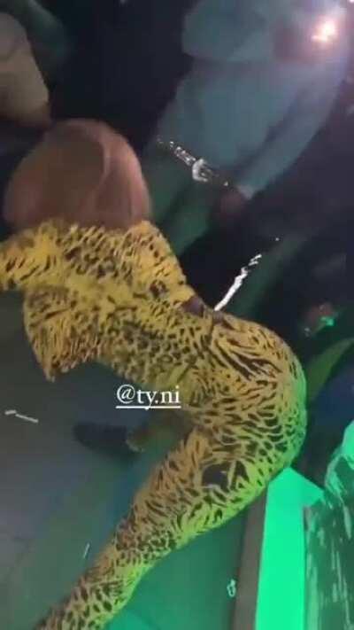 That Ass PHAT, It Ain’t Basic.