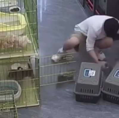 Sis  i sipp gj🤚👉🤘✋🫸🤌🤚soof gask hvv