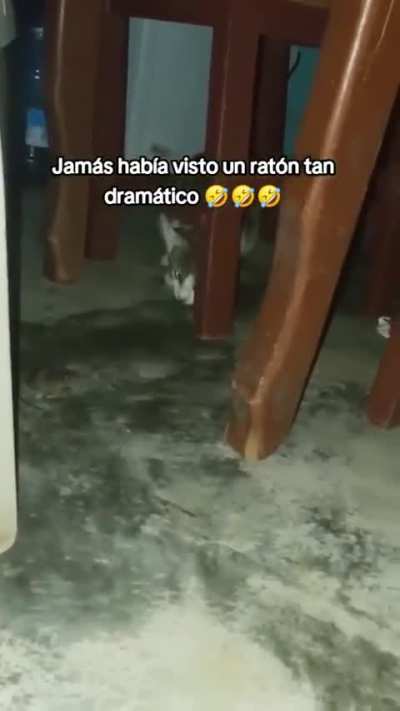 Mi terapeuta: –¡El Ratón Chicharito no existe!

El Ratón Chicharito: 🤣🤣