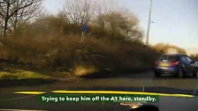 Car thief gets rammed off the road by police