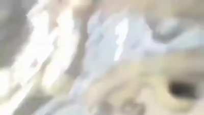 Balloons burst into flames