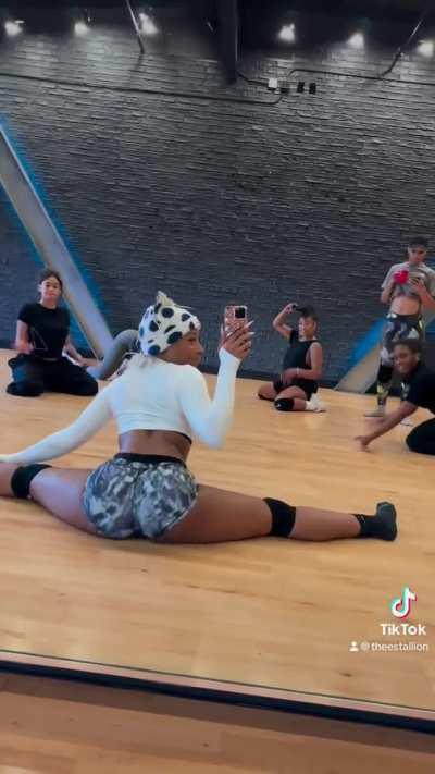 Megan Thee Stallion (@theestallion)