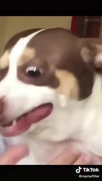 Old vid but a classic