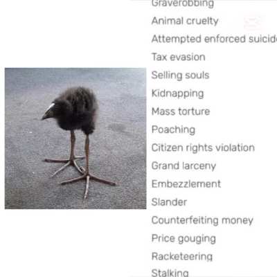 CRIMINALFICATION!!!!!!!!