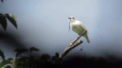 The new fire alarm God's been working on seems pretty sweet, not gonna lie.