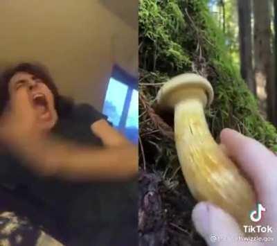 Blursed Mushroom