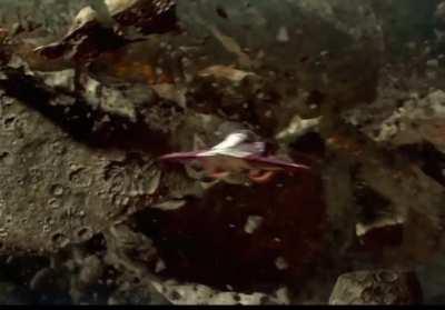 Darth vPhone will become more powerful than either of us!