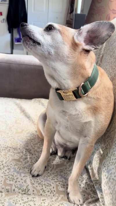 A lovely chat interrupted