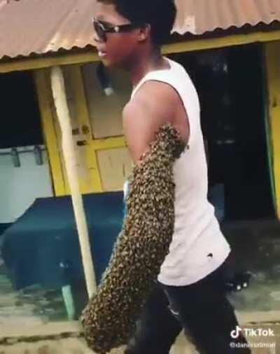 Guy transports a bees colony by carrying the queen is his fist; the rest of the bees crowd around where their queen is.