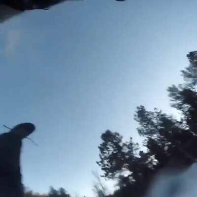 I’ll save you, human!