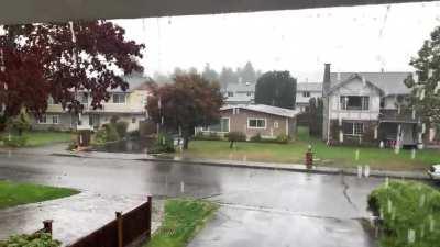 Major Pacific front in BC, Canada. So peaceful.