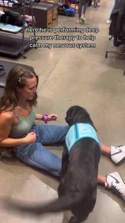 Service Dog Alerts For Anxiety, Before The Panic Starts