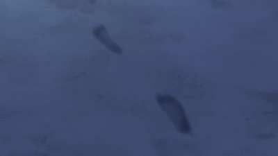 Sometimes, all I think about is you ❤️