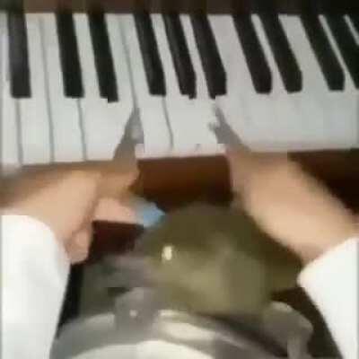 Increíble, um siri tocando piano